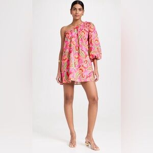 Show Me Your Mumu High Volume Mini Dress Size XS